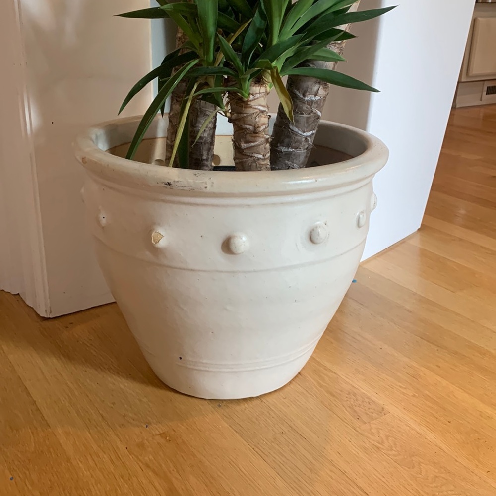 White ceramic planter